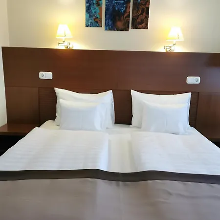 派克斯酒店别墅 酒店 3*