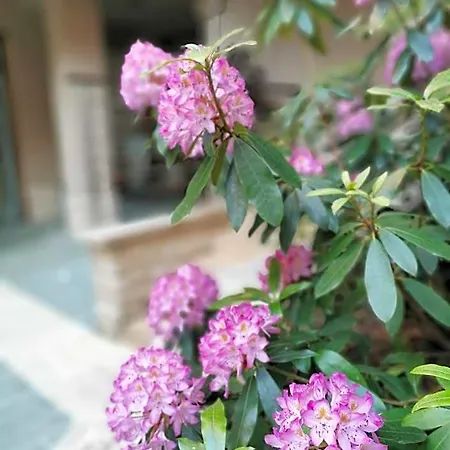 酒店 派克斯酒店别墅 3*
