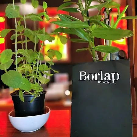 派克斯酒店别墅 酒店
